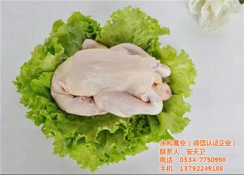 丹东三黄白条鸡_永和禽业_三黄白条鸡批发  三黄白条鸡多少钱  三黄白条鸡选哪家