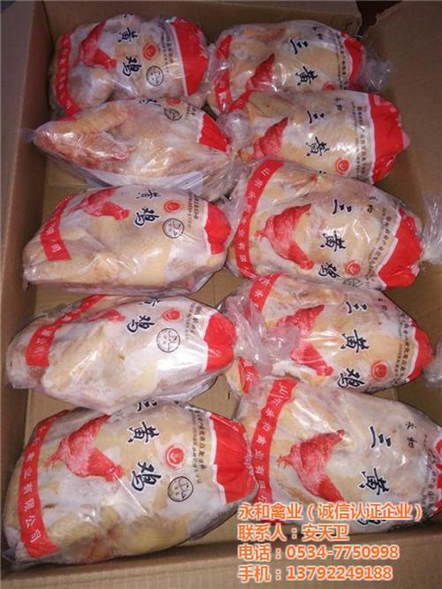 三黄白条鸡多少钱,锦州三黄白条鸡,永和禽  三黄白条鸡厂家  三黄白条鸡选哪家