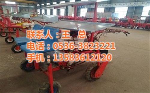 移栽机|军岩农业机械|甜叶菊移栽机厂家  辣椒移栽机厂家  红薯移栽机厂家