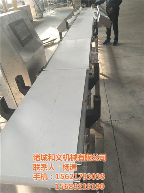 重量称重机_诸城和义机械_重量称重机厂家  重量称重机厂家直  重量称重机哪家好  重量称重机规格