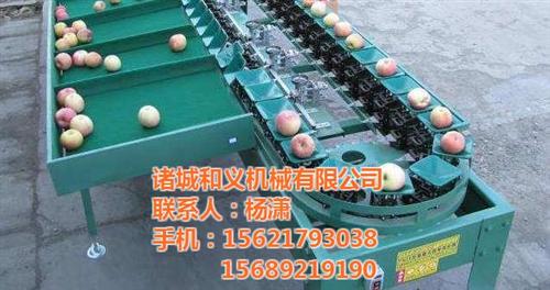 水果分选机厂家、陵水水果分选机、诸城和义  水果分选机制造商  水果分选机厂家直