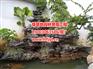 [绿草地园林景观]假山量大从优 阜阳鱼池