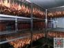 广东汕头腊鸭翅，腊鸭五件，腊鸭价格