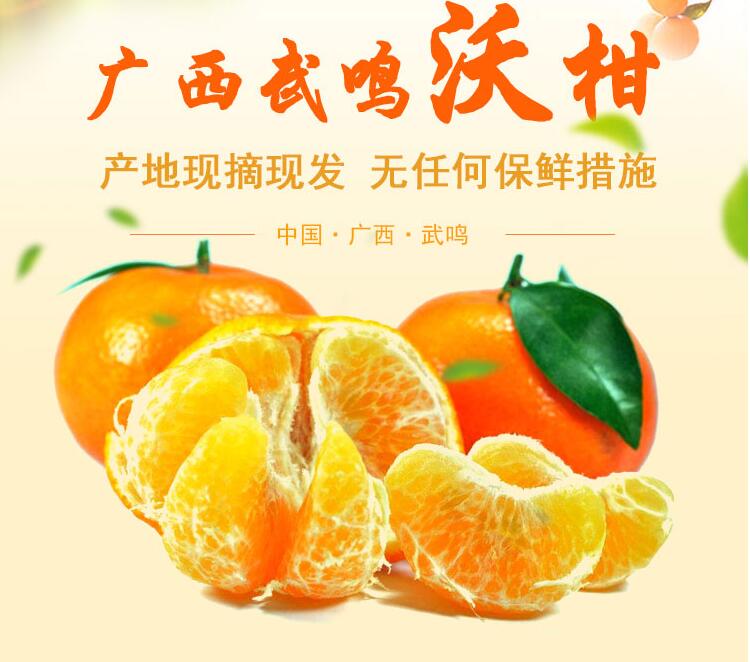 广西武鸣水果批发，百香果批发，沃柑批发