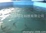 500㎡循环水养殖设备、室内循环水养鱼系统