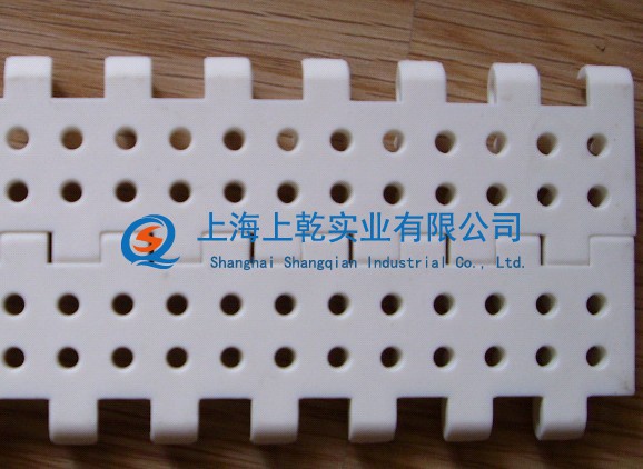 opb平板开圆孔塑料网带&nbsp;&nbsp;塑料网带厂家&nbsp;&nbsp;工业传动件