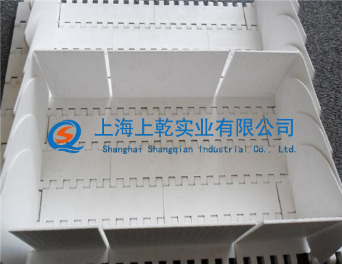 opb挡板加裙板塑料网带&nbsp;&nbsp;塑料网带厂家&nbsp;&nbsp;流水线安装