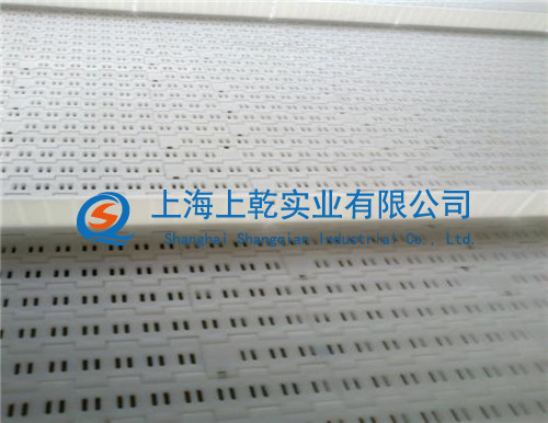 5935加挡板塑料网带 塑料网带厂家 工业传动件