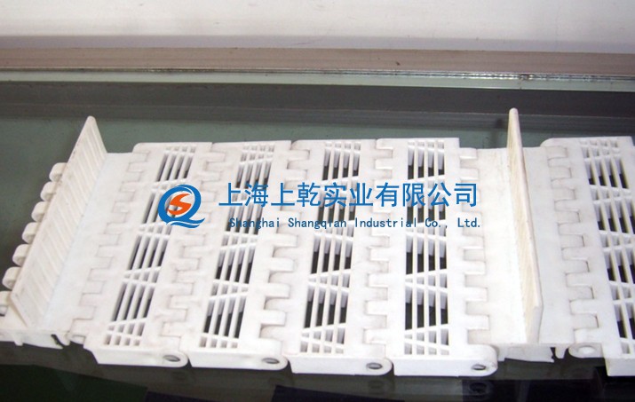 opb爬坡输送带&nbsp;&nbsp;塑料网带&nbsp;&nbsp;塑料网带厂家