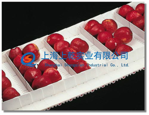 opb爬坡输送带&nbsp;&nbsp;塑料网带&nbsp;&nbsp;塑料网带厂家