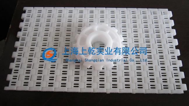 耐高温塑料网带&nbsp;&nbsp;塑料网带厂家&nbsp;&nbsp;输送带