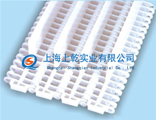 加挡板塑料网带供应&nbsp;&nbsp;塑料网带厂家&nbsp;&nbsp;工业传动件