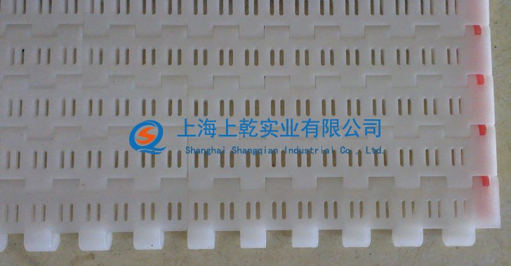 5935平格防静电塑料网带 塑料网带厂家