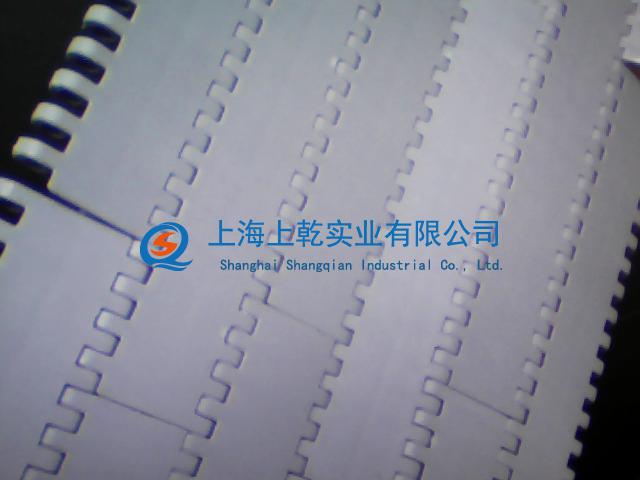 1000白色塑料网带厂家供应&nbsp;&nbsp;工业传动件
