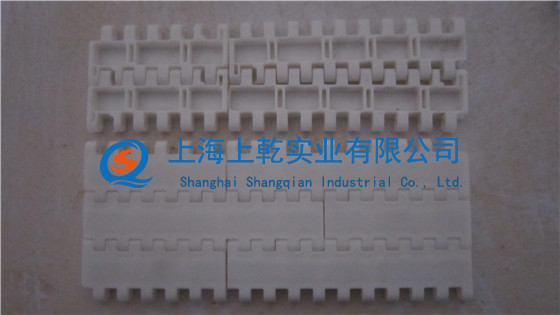耐酸碱塑料网带的用途 塑料网带厂家