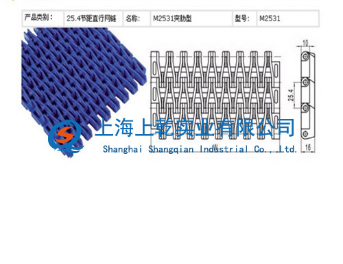上海上乾厂家供应塑料网带 塑料网带厂家 流水线安装