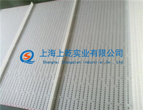 5935加挡板塑料网带的价格&nbsp;&nbsp;塑料网带厂家&nbsp;&nbsp;流水线安装