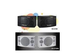 具有良好口碑的先锋CSZ-100/100&nbsp;&nbsp;演播厅音响&nbsp;&nbsp;体育馆音响