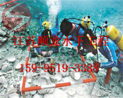 湖北水下录像公司-守信誉