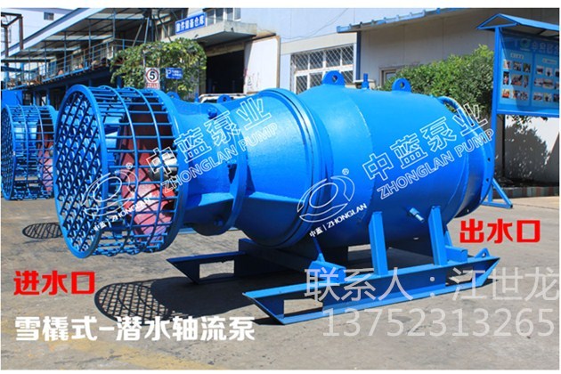 浮筒式轴流泵  浮筒式轴流泵价格  浮筒式轴流泵厂家