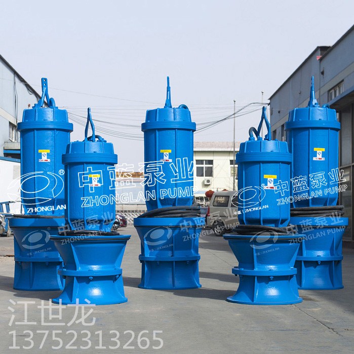 抗洪排涝大流量轴流泵地下泵站改造