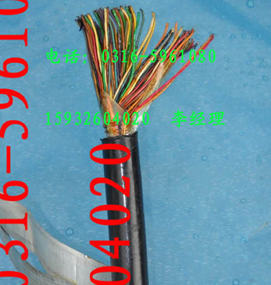 HYA大对数电缆 价格  电缆HYAT_通  市内通信电缆HY