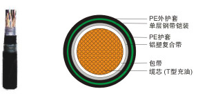 HYAT通充油电缆  DWZ-HYA低  市内通信电缆HY