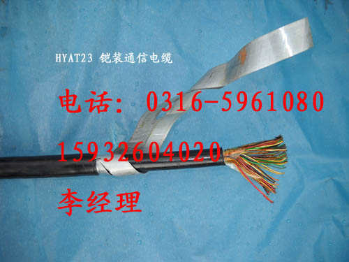 HYAT电缆价格  HYA53,HY  市内通信电缆HY