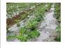 赓坤塑料优质地膜供应——山东地膜销售