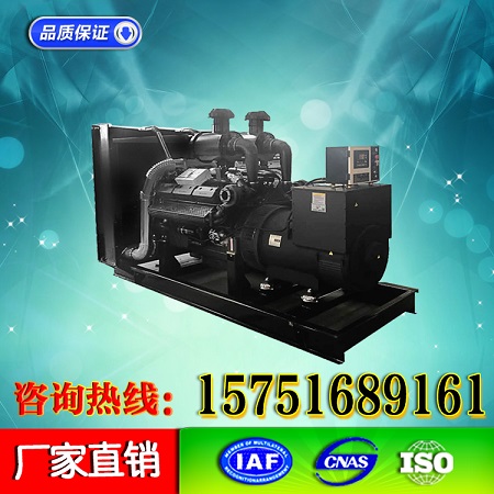 300KW上海申动发电机组 江苏厂家优惠活动价格&nbsp;&nbsp;300W发电机组
