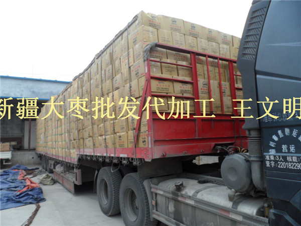 加工厂直销新疆若羌灰枣价格便宜  若羌灰枣加工厂  若羌灰枣批发