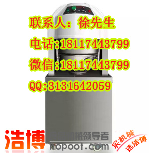 上海面团分块机