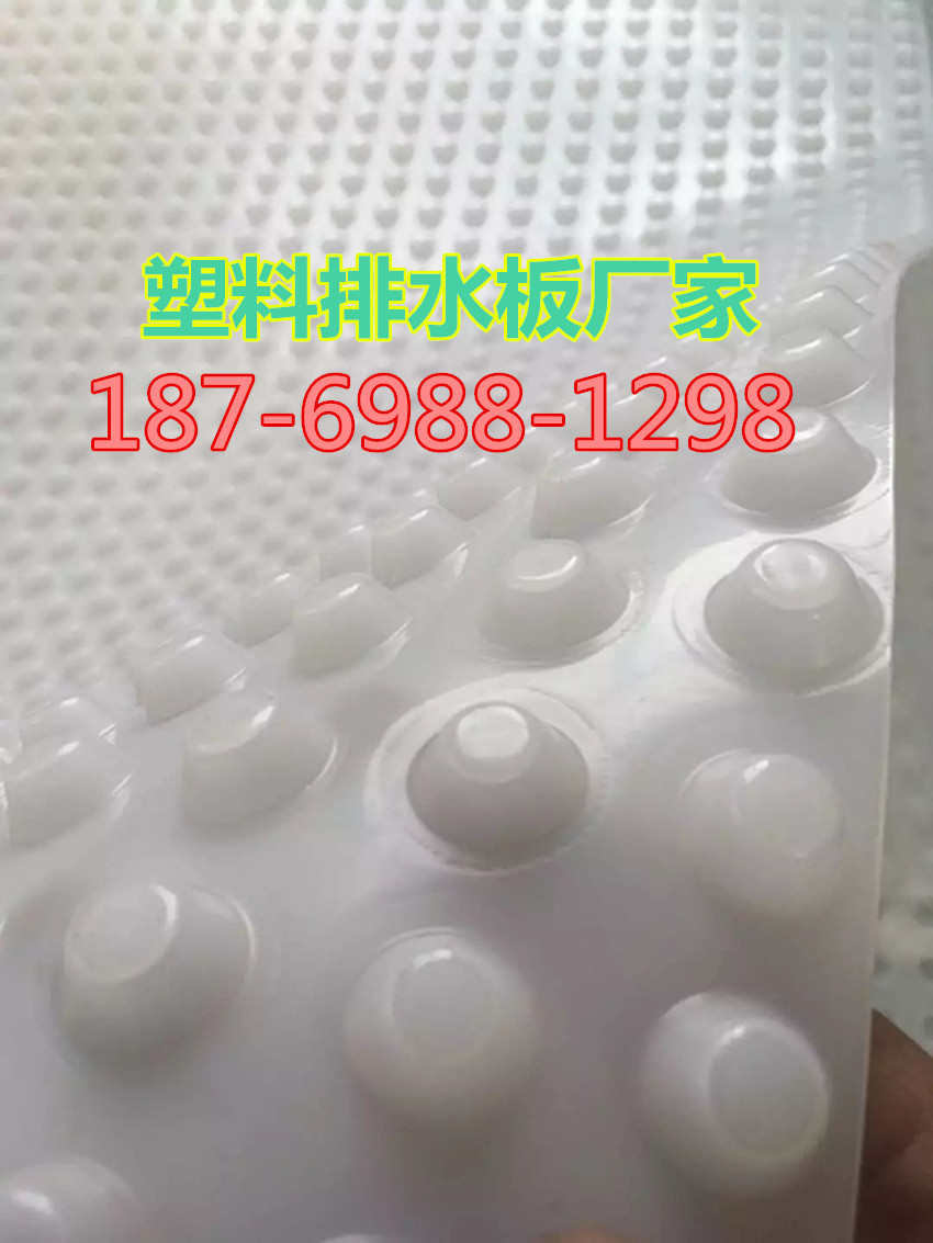 新闻要点%衡水养殖种植防渗膜+量大从优%