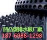 新闻要点%廊坊3公分种植滤水板+量大从优%