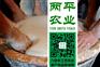 哈尔滨正宗红薯粉条进货渠道【两平农业】红薯粉线