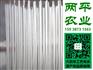 常州纯红薯粉条解决方案【两平农业】地瓜粉条