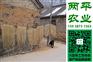 青岛红薯粉条供货商【两平农业】地瓜粉条