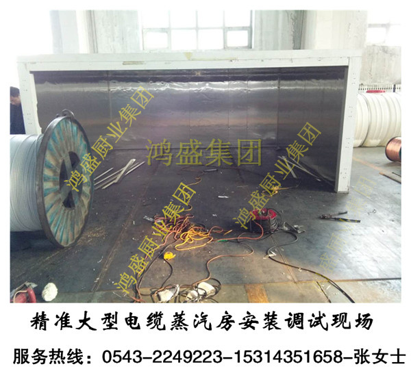 性能稳定大型高温电缆蒸房 无需人工看守电缆蒸箱  全自动电缆交联房