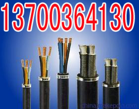 柳州化工防腐蚀电缆KFVR22,生产24x2x2.5