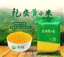 广西黄小米批发价格，南宁黄小米厂家直销