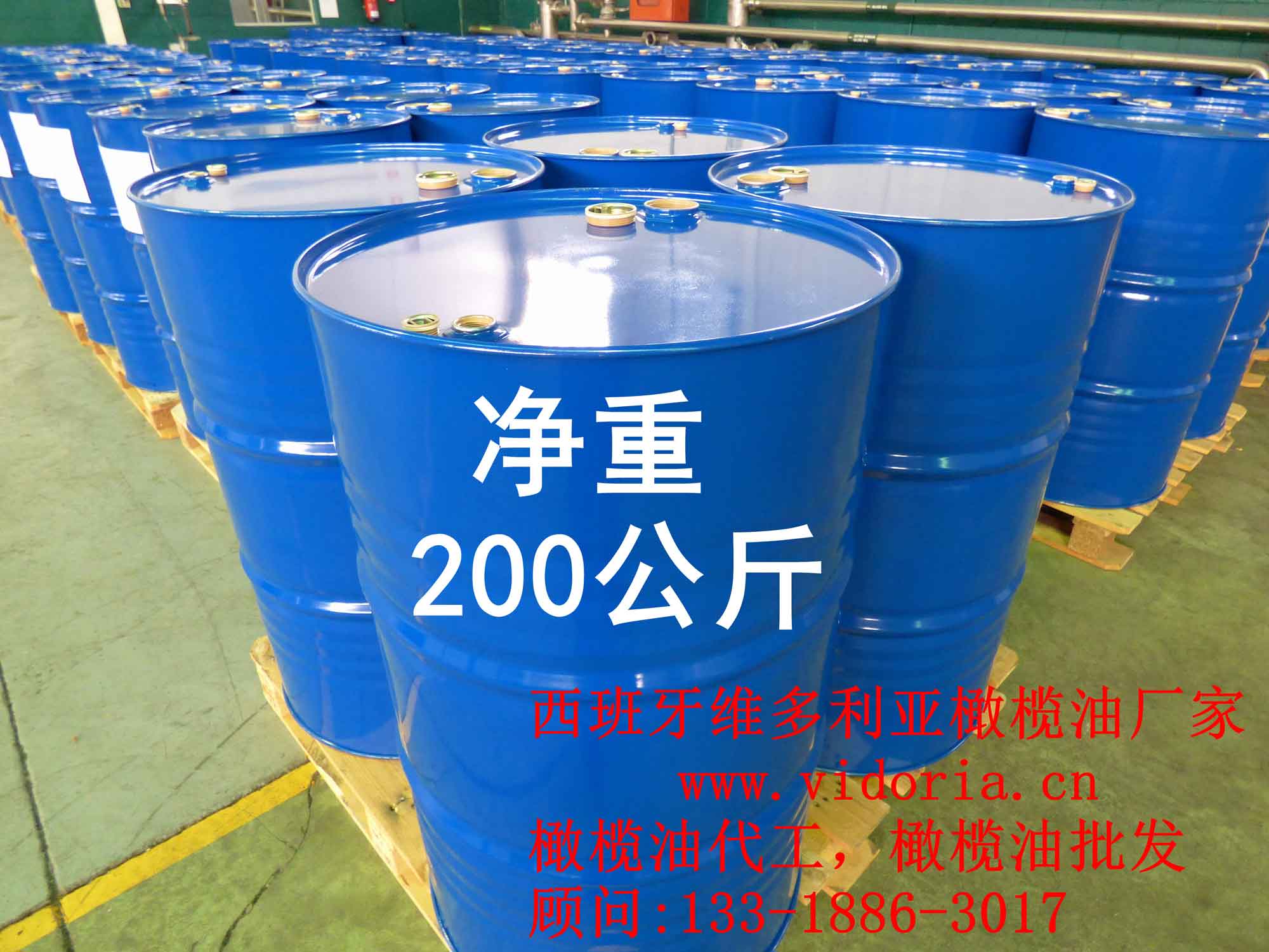 上海特级初榨橄榄油供应商推荐_西班牙进口 西班牙橄榄油