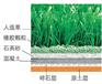 学校人造足球草坪