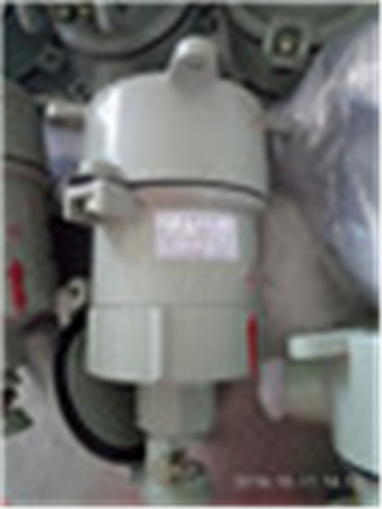 BCX53(AC)-16A/32A/63A/100A防爆插销 防爆插座 防爆插头
