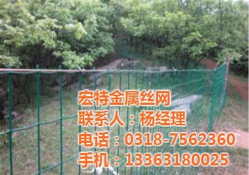 荷兰网价格|山西荷兰网|荷兰网厂家直销(  圈地荷兰网
