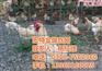 铁丝网价钱、铁丝网、宏特金属丝网(查看)