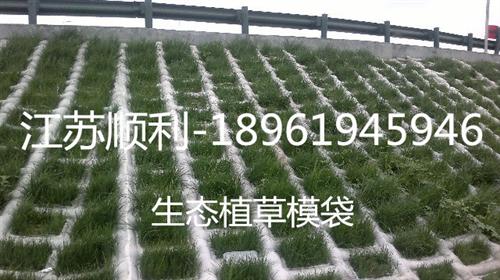 拉萨铰链型模袋|江苏顺利|铰链型模袋布  铰链型模袋护坡  铰链型模袋混凝土  铰链型模袋施工
