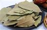 四川小茴香供应商——优质的孜然，谦城鑫泰