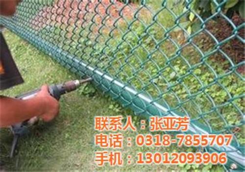 双晟丝网,学校围栏网,组装学校围栏网施工  组装学校围栏网价  组装学校围栏网现