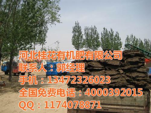 酒泉纯羊粪_桂花有机肥(在线咨询)_优质  纯羊粪多少钱  纯羊粪哪里有  纯羊粪价格