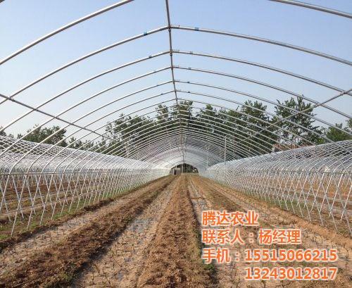 钢管大棚骨架,钢管大棚,腾达农业(图)  钢管大棚厂  钢管大棚支架